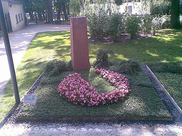 2009 sommer gross.jpg